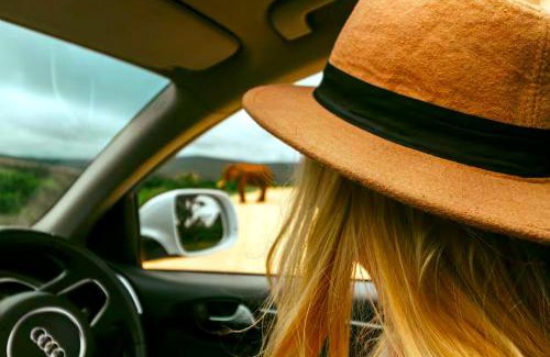 Colchester Apartment | 90 On Wellington Cottage