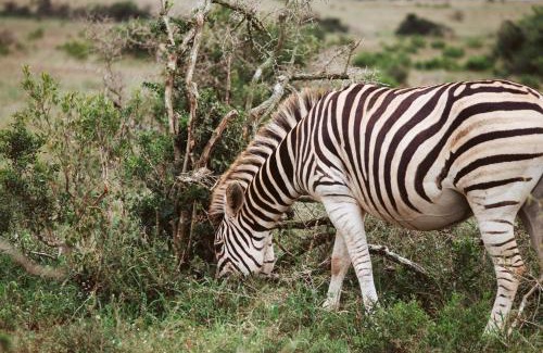 Colchester Apartment | 90 On Wellington Cottage