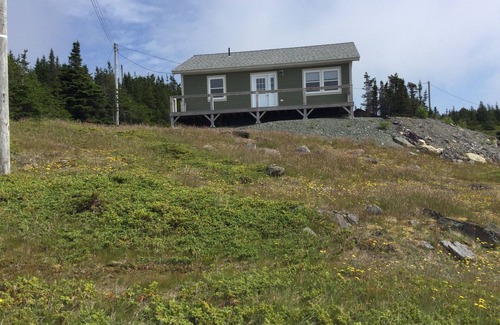 Terra Nova House | A 2 bedroom home in English Harbour, Trinity Bay. Ocean views and hiking.