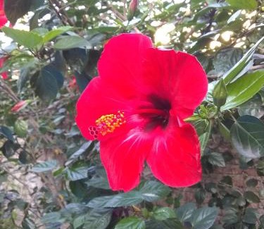 Yerba Buena Bed & Breakfast | A Alquiler temporario Arrullo de Luna