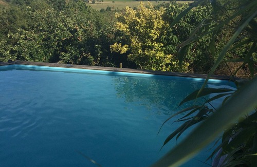 Chalonnes-sur-Loire House | A cabin in the heart of the vineyard