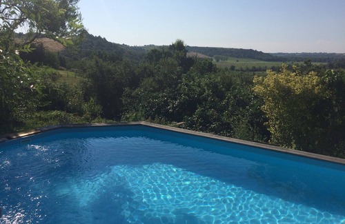 Chalonnes-sur-Loire House | A cabin in the heart of the vineyard