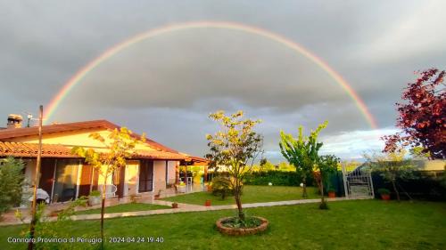 Cannara House | A CASA DI DEBY GREEN HOUSE