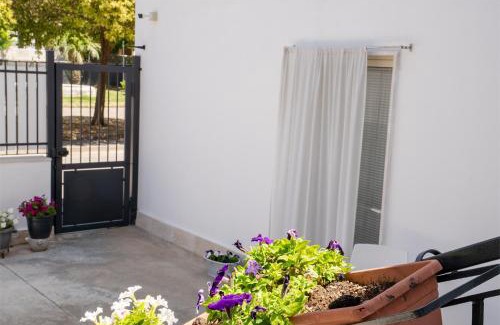 Mondragone House | A CASA DI FALCO 2