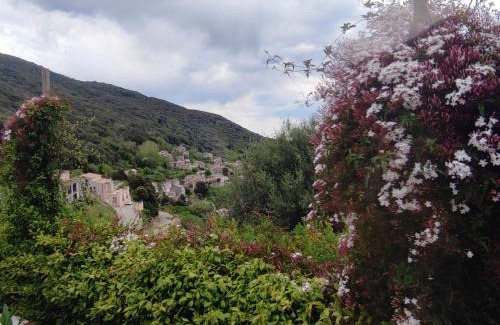 Sollacaro Villa | A Casa Vadiiolina - Chambres d'hôtes d'exception