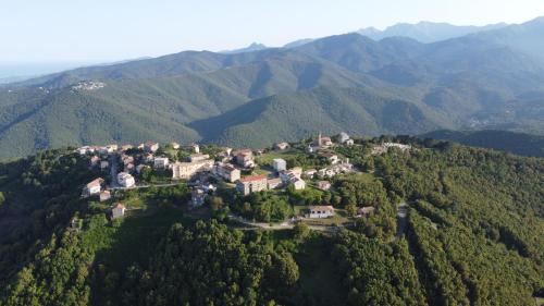 Prunelli-di-Fiumorbo Apartment | A Casetta