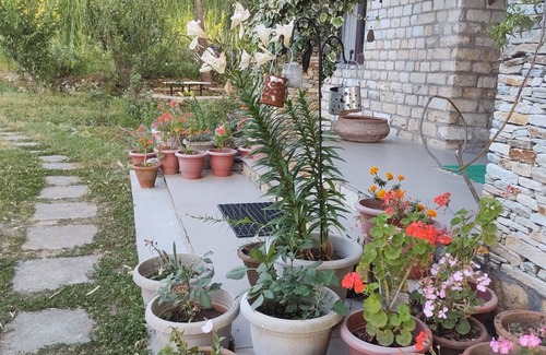 Kaul Cottage | A clean fully furnished home with breathtaking views