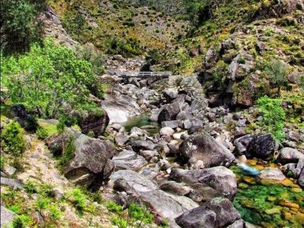 Cabril House | A Cobiça do Mundo