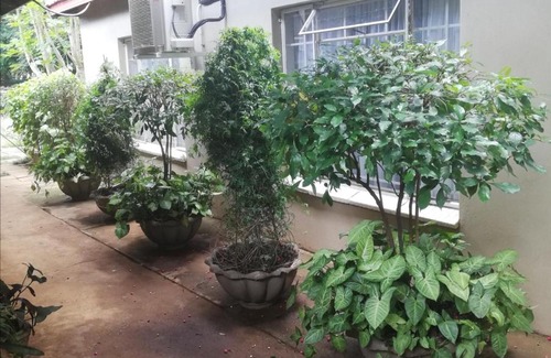 Makhado House | A-Cody Place