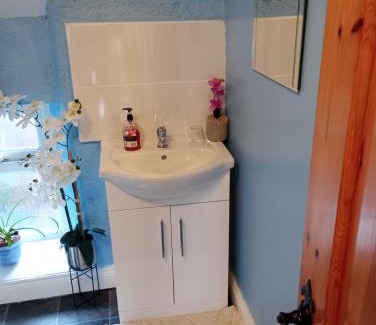 Cork House | A Comfy Bedroom and Bathroom on own private top floor of a Home Stay 10 minutes Walk to the Ctr Free Parking