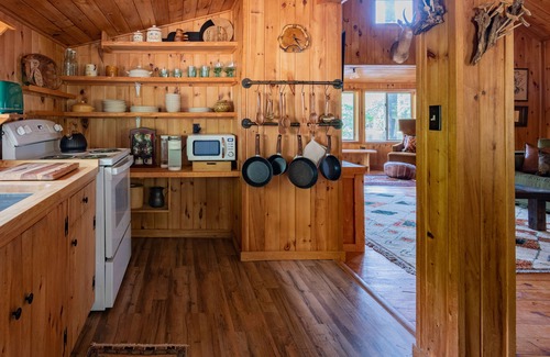 Turner Cabin | A Cozy Getaway - Waterfront, Fire Pit, Knotty Pine, Kayaks