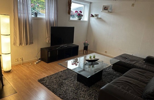 Skjoldastraumen Apartment | A Cozy Place To Stay Over