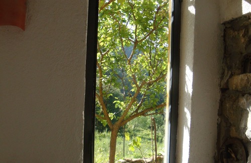 Vasia House | A detached artist's house in the middle of an olive grove, CITRA 008064-AGR-0004
