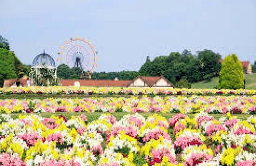 Kisarazu Hotel | A double nonsmoking room with a choose breakfast/Kisarazu Chiba