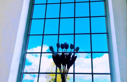 Whitton House | A double room in a beautiful house 0.7M from Twickenham stadium