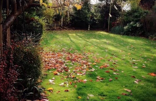 Whitton House | A double room in a beautiful house 0.7M from Twickenham stadium