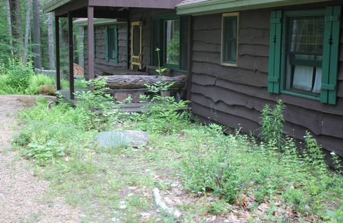 Pittsfield Cabin | A Family Lodge in the woods with lake access