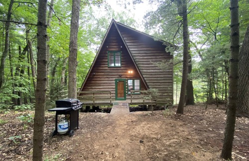 Allegan House | A-frame cabin nestled in forest, stunning lake view, perfect serenity.