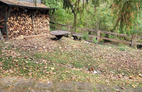 Anderson Township Cabin | A-frame home, 3 acres, fenced, secluded, hot tub, sauna, dog friendly
