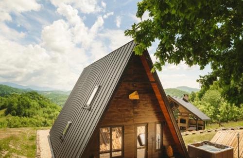 Birsana House | A-Frame ILIES