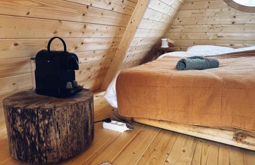 Jubbega Cabin | A-Frame Vijverhuisje met uitzicht over de vijver