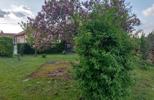 Koprivnica House | A house, free parking, sauna