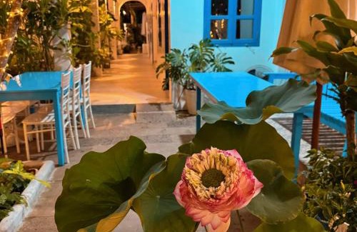 Ho Tram House | A House - homestay Mui Ne
