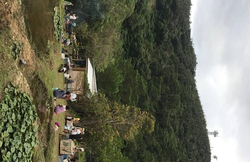 Higashi Cottage | A house in the forest smoking / Kunigami-gun Okinawa