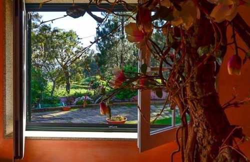 Penafiel Cottage | A house with a soul - House with a garden
