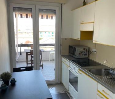 Pedrinate Apartment | A Jump into Chiasso