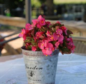 Pionsat Bed & Breakfast | A la Bonne Heure