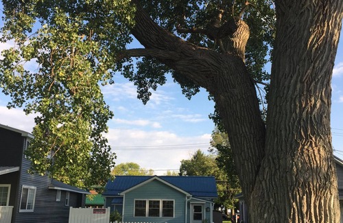 Sodus Point Cottage | A Little Peace at the Point. Enjoy the best of The Point - all walking distance!