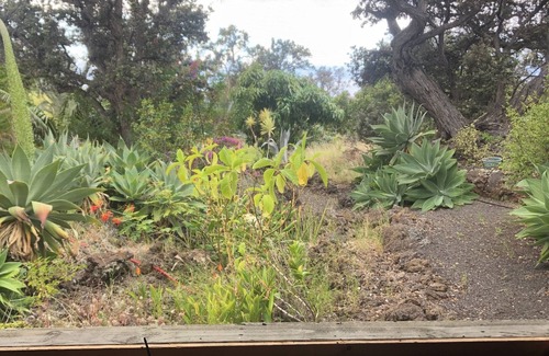 Ocean View House | A little piece of paradise in Ocean View with a view guesthouse!