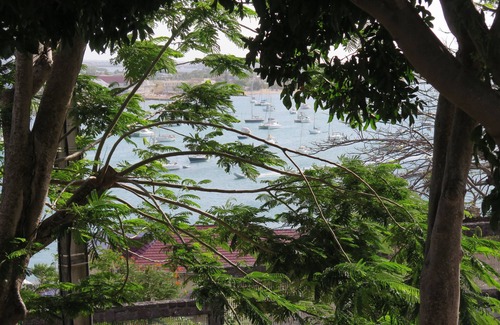 Marigot Boat Rental | A Moveable Feast on Amazing Grace II