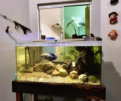 Gravata House | A Pérola do Gravatá