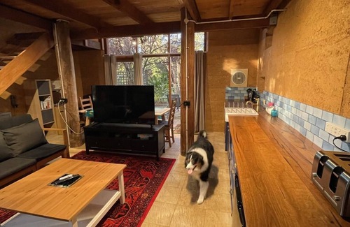 Hovea Villa | A Paradise for Dogs and a Magical Place for Humans