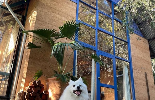 Hovea Villa | A Paradise for Dogs and a Magical Place for Humans