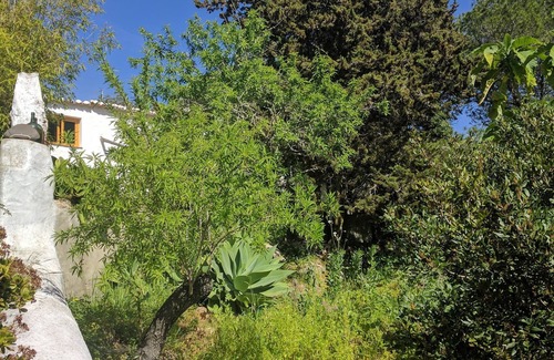 Espiche Apartment | A Patio full of stars