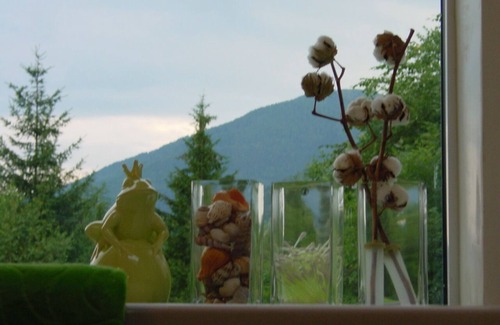 Feld am See House | A pearl with charm Field by the lake, detached with plotPets allowed