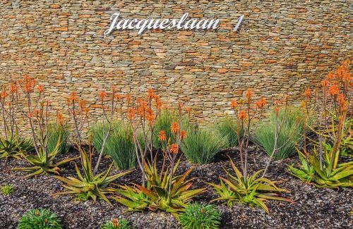 Drakenstein Apartment | A Perfect Self Catering