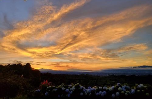 Naranjo House | A place to create dreams