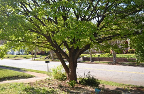 Jefferson Park House | A PLACE TO GO - Whole House - Airport Close
