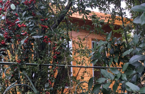 Barjols Cabin | A romantic garden hut with balneotherapy