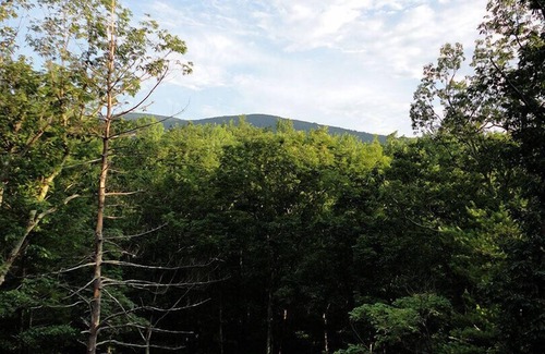 Stanardsville Cabin | A Rustic-Chic Cabin Hideaway at the Doorstep of the Shenandoah National Park