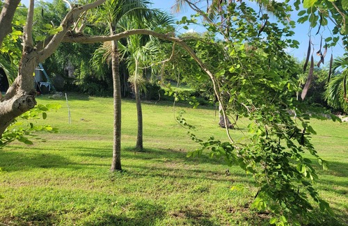 Estate Montpellier East House | A&S Tropical Cottage on 1 1/2 acres of paradisenClothing Optional
