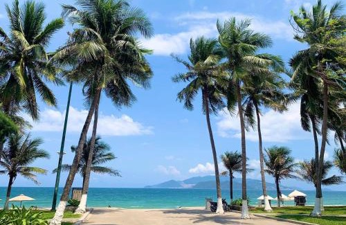 Vinh Hai Apartment | A sea view beautiful studio apartment