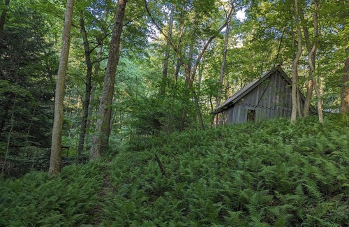 Rockbridge Cabin | A secluded couples retreat set in a mature forest in the beautiful Hocking Hills