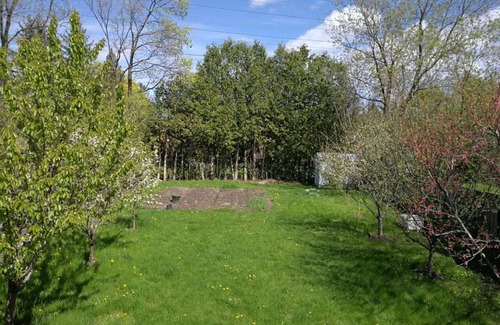 Bayview Woods - Steeles House | A semi-detached house in North York with a 7 minute drive from finch station