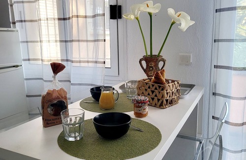 Aleria Apartment | A serene moment overlooking Diana pond