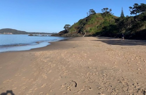 Tutukaka House | A Slice of Kiwi Paradise!